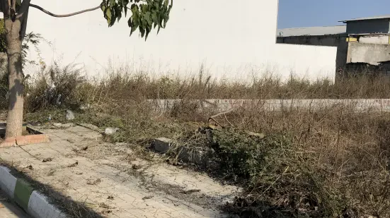 فروش ۴۳۷ متر زمین داخل بافت لوکیشن عالی سرخرود