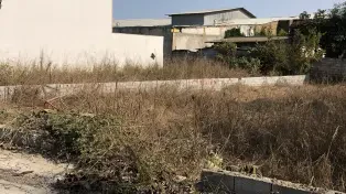 فروش ۴۳۷ متر زمین داخل بافت لوکیشن عالی سرخرود