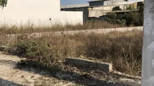 فروش ۴۳۷ متر زمین داخل بافت لوکیشن عالی سرخرود