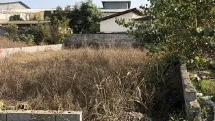 فروش ۴۳۷ متر زمین داخل بافت لوکیشن عالی سرخرود