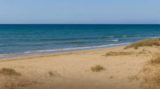 زمین ساحلی پلاک اول دریا ۱۱۰ متر تاپ لوکیشن