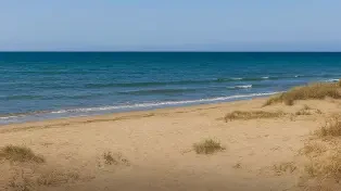 زمین ساحلی پلاک اول دریا ۱۱۰ متر تاپ لوکیشن