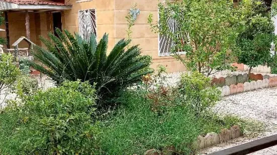 ویلای رویایی در محمودآباد – فقط ۵ دقیقه تا ساحل