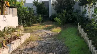 فروش باغ استخردار شهر سرخرود