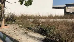 فروش فوری زمین ساحلی به قیمت کاسبی