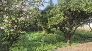 خریدوفروش ویلاباغ درآمل