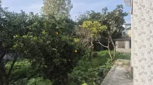 خریدوفروش ویلاباغ درآمل