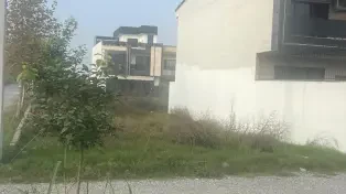 فرصت طلایی زمین 250 متری منطقه استثنایی