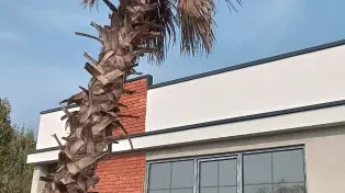 150 متر ویلا نوساز زیر 4/5 میلیارد بر خانه دریا