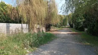 ۱۸۵ متر زمین با سند و پروانه یک کیلومتری دریا