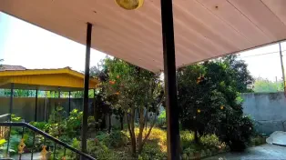 ویلای دوبلکس ساحلی شهرکی، حیاط مشجر سنددار