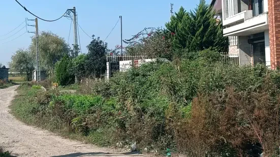 235 متر زمین مسکونی دونبش در سرخرود