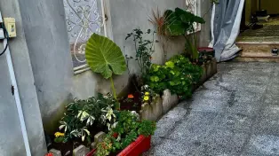 فروش ویلا ۱۳۰ متری بازسازی‌ درمنطقه توریستی سرخرود