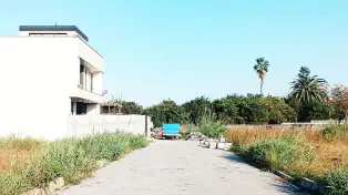 230 متر زمین بافت سند دار زیر قیمت زیباکنار