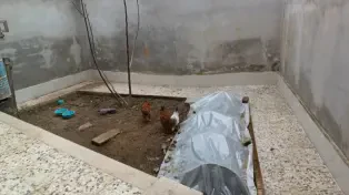 160 متر ویلا ساحلی چاکسر سرخرود