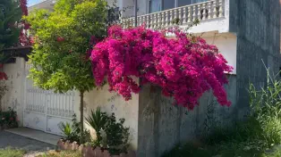 ویلا دوبلکس مبله کامل سرخرود