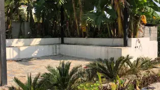 باغ دوکله در قلب شهر ساحلی سرخرود با سند تک‌برگ