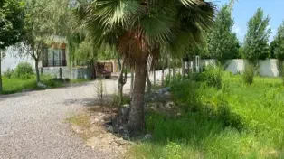 خرید زمین زیر قیمت با سند در سرخرود