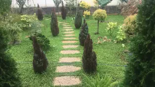 اجاره سالانه 230 متر ویلا خط دریا سرخرود