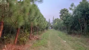 فروش ۳۳۲۰۰ متر باغ ویلا شیک لوکیشن عالی مازندران