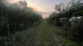 فروش ۳۳۲۰۰ متر باغ ویلا شیک لوکیشن عالی مازندران