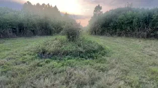 فروش ۳۳۲۰۰ متر باغ ویلا شیک لوکیشن عالی مازندران