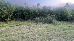 فروش ۳۳۲۰۰ متر باغ ویلا شیک لوکیشن عالی مازندران