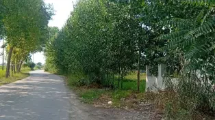 ویلا نوساز دوبلکس استخر سرپوشیده  سند تک‌برگ شمال