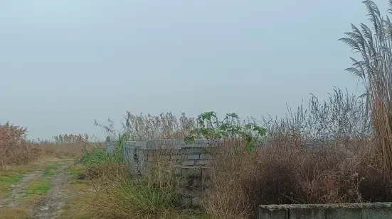 250 متر زمین چسبیده به بافت سرخرود