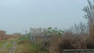 250 متر زمین چسبیده به بافت سرخرود