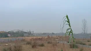 3500 متر زمین بافت با قیمت ارزون