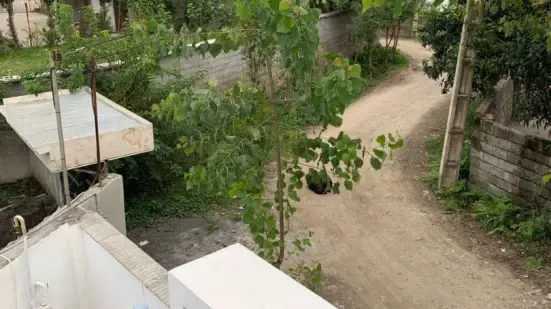 خرید ویلای نقلی و مدرن نزدیک ساحل شمال، روف‌گاردن