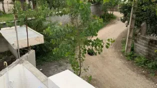 خرید ویلای نقلی و مدرن نزدیک ساحل شمال، روف‌گاردن