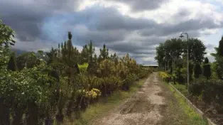 ویلا باغ سه هکتاری غرب مازندران