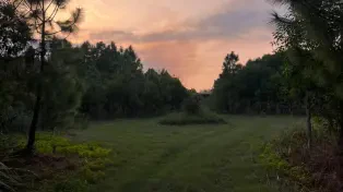 ویلا باغ سه هکتاری غرب مازندران