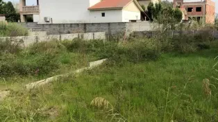 فروش زمین ساحلی سنددار بافت مسکونی چند قدمی دریا