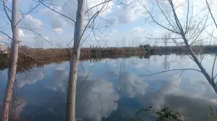 2000 متر زمین داخل بافت با جوار ساخت