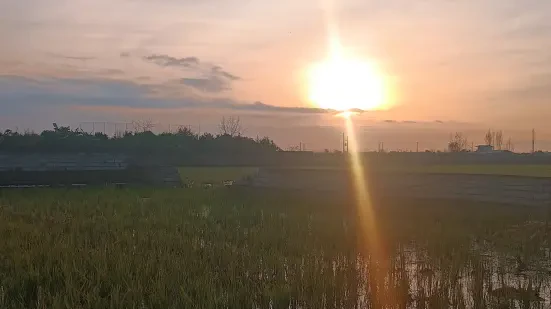 1100 متر زمین بافت مسکونی آماده ساخت