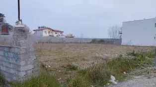 2000 متر زمین بافت سنددار ساحلی