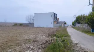 2000 متر زمین بافت سنددار ساحلی