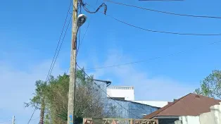 830 متر ویلا باغ کلنگی با سند 6 دانگ