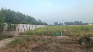 2800 متر زمین بر آسفالت جاده سرخرود به آمل