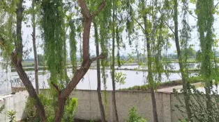 خرید ویلا ساحلی  استخردار با سند در سرخرود