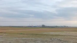 خرید ویلا ساحلی سرخرود