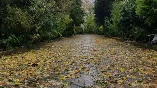 400 متر ویلا باغ شهرکی با درختان قدیمی