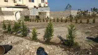 فروش زمین شهرکی ساحلی