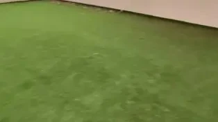 خرید ویلای ساحلی در سرخرود، ۱۵۰ متری سند تک‌برگ