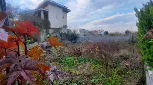 زمین شهرکی نزدیک ساحل با سند تک‌برگ جاده خانه دریا