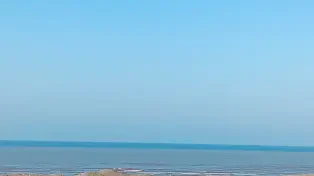 600 متر زمین پلاک یک ساحل سرخرود