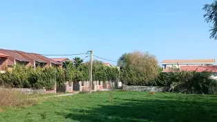 230 متر زمین بافت در حاجیکلا سرخرود